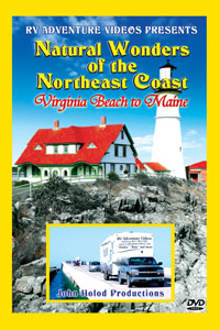 Natural Wonders of the NE Coast